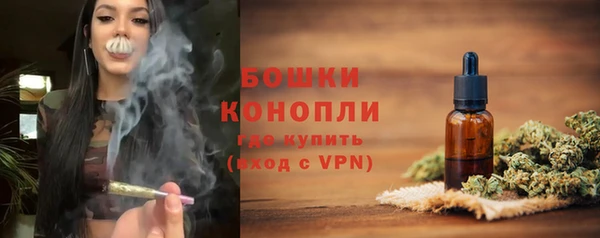крисы Дмитровск