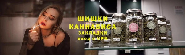 ECSTASY Дмитриев