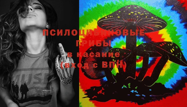 ECSTASY Дмитриев