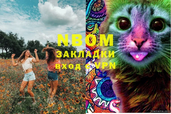 ECSTASY Дмитриев