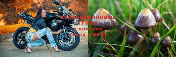 PSILOCYBIN Дмитров