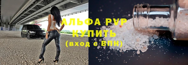 гидра Елабуга