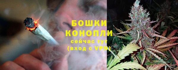 ECSTASY Дмитриев
