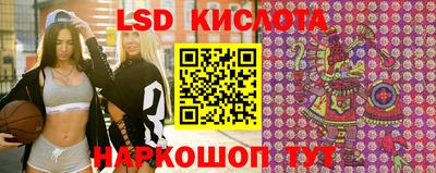 прущие грибы Донской