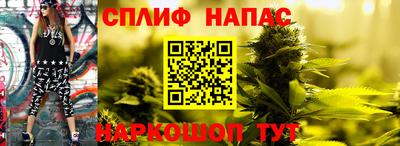 прущие грибы Донской