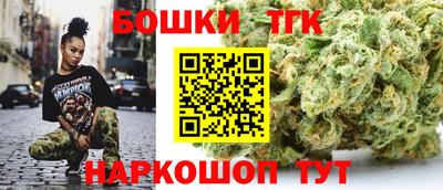 СК Дубна