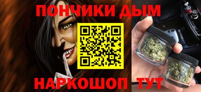 СК Дубна