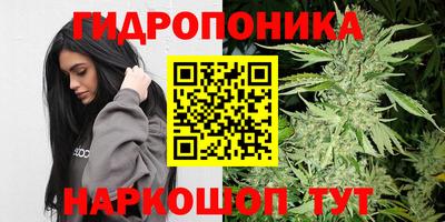 СК Дубна