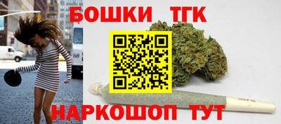СК Дубна