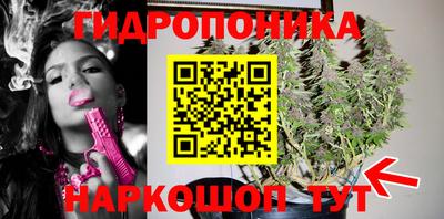 СК Дубна