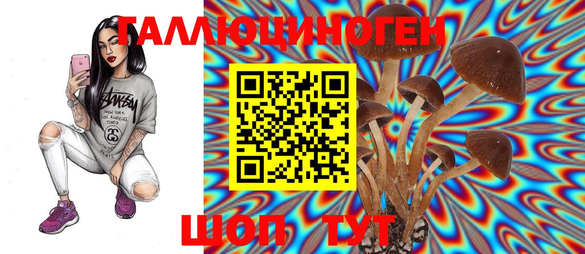 Орск  Галлюциногенные грибы Psilocybe  Вход с VPN 