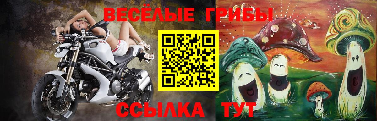 Галлюциногенные грибы мухоморы Орск